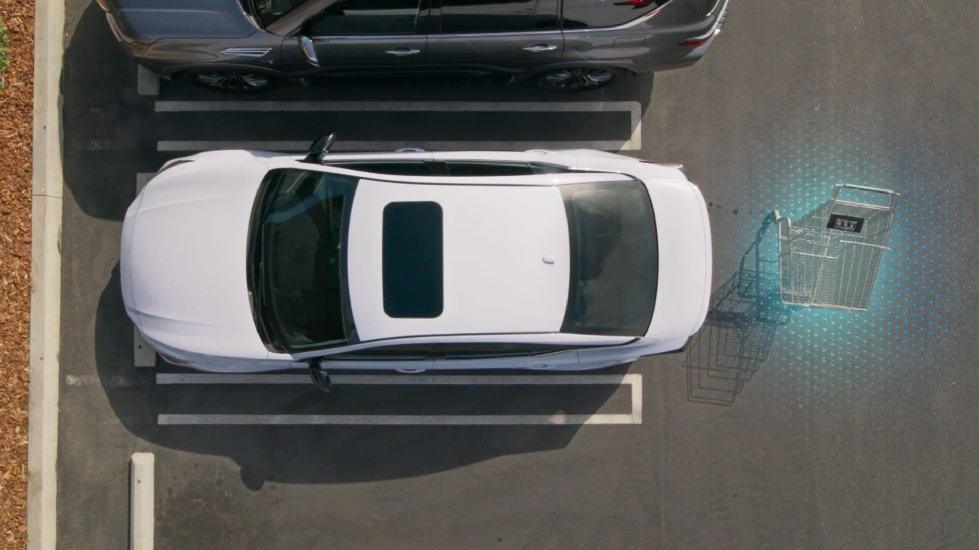 2026 Nissan Altima | Nissan of Paducah in Paducah, KY